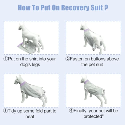 Image of FEimaX Dog Surgery Recovery Suit Female and Male Spay with Pee Hole, Pet Body Suits for Puppy After Spayed, Neuter Surgical Onesie for Small and Medium Dogs Cats, Alternative Bandages E-Collar & Cone