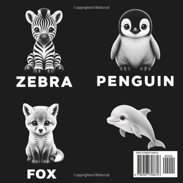 Image of ABC Safari. High Contrast Book for Newborns: Black and White Book for Babies 0-6 months. Baby Animals from A to Z