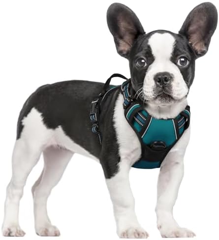 rabbitgoo Hundegeschirr Mittelgroße Hunde Anti Zug mit Griff, S, Türkisblau | No Pull & Individuell Anpassbar, Atmungsaktiv Gepolstert, 2 D-Ringe, Schnellverschlüsse, Reflektierend