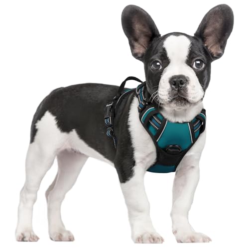 rabbitgoo Dog Harness Small Dog No Pull Pet Harness with 2 Leash Clips, Adjustable Soft Padded Pet Vest, Reflective No-Choke with Easy Control Handle for Training or Walking, Dark Green, S