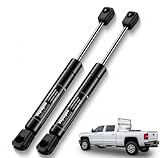 Vepagoo 10 inch Gas Struts 40Lb for Truck Tool Box Shocks, 10' Gas Spring Lift Support for Weather-Guard/USW/Better Built Toolbox Lid Cabinets Door Boat Hatch, 2 Pcs