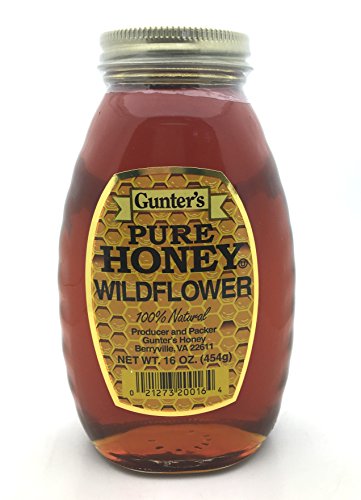 Gunter Miel Silvestre Pura 16 oz Caja 12