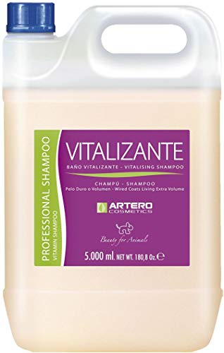 Artero champu vitalizante 5l (ndr)