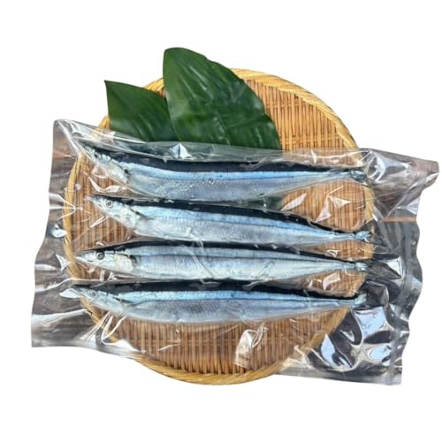 ΂̒s 2025N V kCY  4 T} H Y Ⓚ T} BBQ ċ