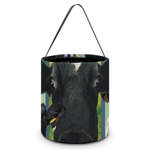 nEB LfBoXPbg 킢  LfB َq Rei 񂰑 y p[eB[LOi v[g OWp