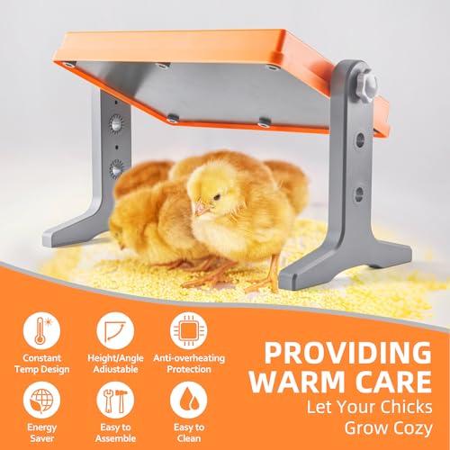 Xbrigh Brooder Heater For Chicks -Chick Brooder Heating Plate With Adjustable Temperature Height Adjustable Chick Warmer 12 Inch X 8 Inch For 10 Chicks Heater,Brooder Plate For Chicks Poultry Heater-Orange thumb #6