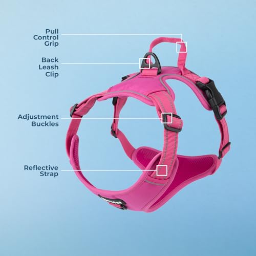 Image of Voyager Dual Attachment No Pull Harness - Fuchsia, X-Small | 13 - 16 inch in Chest, No Pull Dog Harness, Fully Adjustable, 3M Reflective Technology, Front & Back D-Rings, Walking & Training