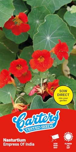 Carters Nasturtium Empress of India Seeds Pollinator Friendly Flower Seeds Edible Red Blooms Easy Grow Garden & Container Annual 18 Seed Packet