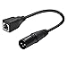 Accessonico XLR Over Cat5 1 Pair, 3 Pin to RJ45 Female Adapter Cable, DMX Network Connector Extension Ethernet for DMX-CON Controller Stage Recording Studio Adapter (1 Feet)