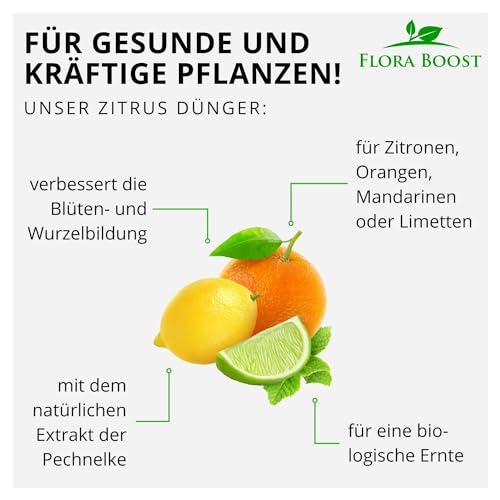Zitrusdünger Flora Boost Konfitee 1000ml für Zitruspflanzen