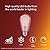 Philips LED Vintage Spiral ST19 Dimmable LED Light Bulbs - E26 Bulb - Flicker-Free Light Bulb with EyeComfort Technology - Soft White Lightbulb - 800 Lumen - 4 Pack