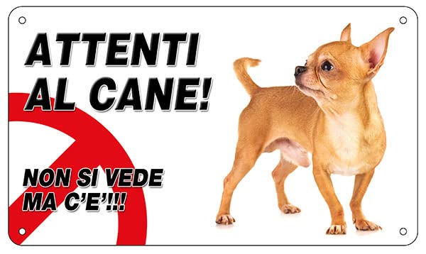 Cartello Attenti Al Cane Barboncino → Classifica dei Più Venduti Online