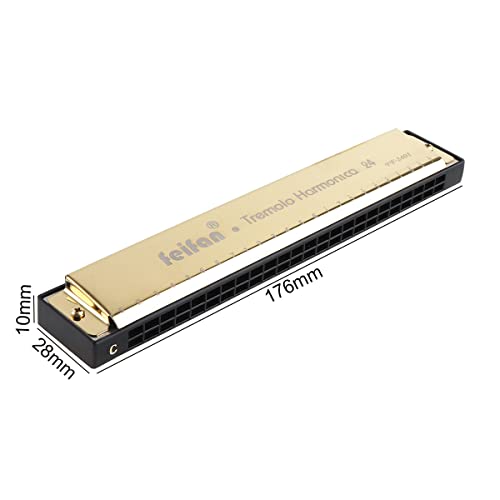 OriGlam Harmonica à 24 trous en do – Harmonica professionnel pour enfants débutants et adultes - Les Beatles, Paul McCartney, John Lennon, RIngo Starr, George Harrison OriGlam Harmonica à 24 trous en do - Harmonica professionnel pour enfants débutants et adultes – Image 8