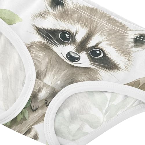 Cute Raccoon Animal Toddler Girls's Underwear 2T 202c03114
