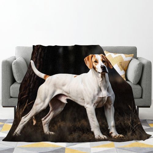Couverture Polaire 240 x 260 Animaux Chiens, Couverture Polaire Grande Taille 240x260 cm | Usage Multiple comme Couette d'Appoint, Assure Une Protection Contre Le Froid B283