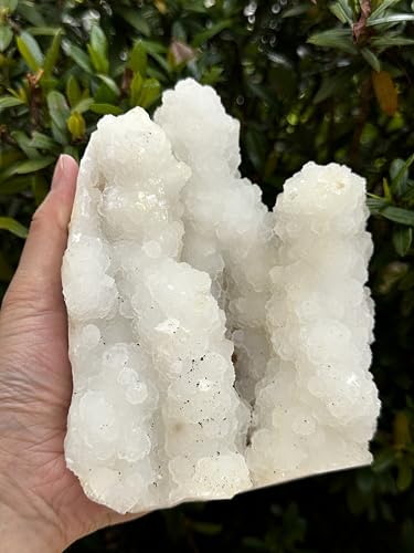 Image of GAF TREASURES Chalcedony & Crystal Quartz Stalactite 3-8 inch, Natural Quartz on Chalcedony Stalactite Specimen (3-4 lb)
