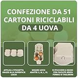 Di Ruscio Cartoni per Uova B08TVX2MQ4 lato 4