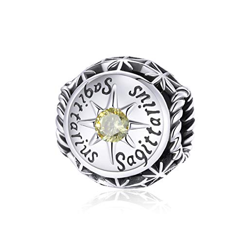 Image of 12 Constellation Charms 925 Sterling Silver Crystal Zircon Charms Family and Friends' Birthday Charm Birthstone Charms for Women Bracelets