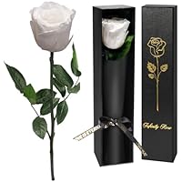 Yamonic Rosa Eterna Regalos para Mujer, Rosa Preservada con