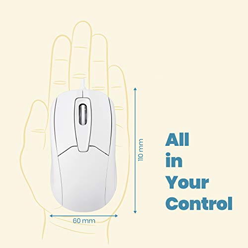 El mejor review de Raton pc antiguo al mejor precio. 17 Imagen adicional