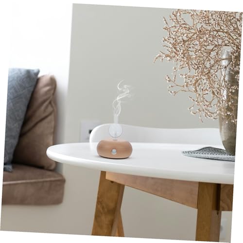 Diffuseur d'huile essentielle contre l'air sec et vicié du salon - 5