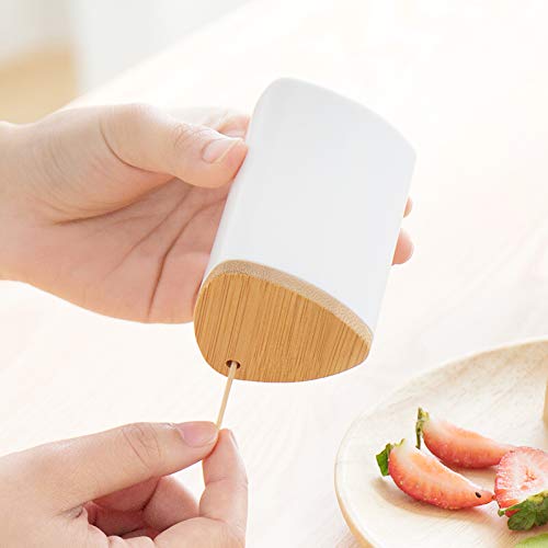 MRKU Toothpicks Dispenser Toothpick Box 1pc Portable Holder Simple Desktop Container Lid