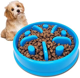 DOKI Slow Feeder Dog Bowl, Dog Bowls to Slow Down Eating, Anti-Choke, Anti-Gulp, Cat and Dog Bowls for Small Medium Size Pets(Blue)