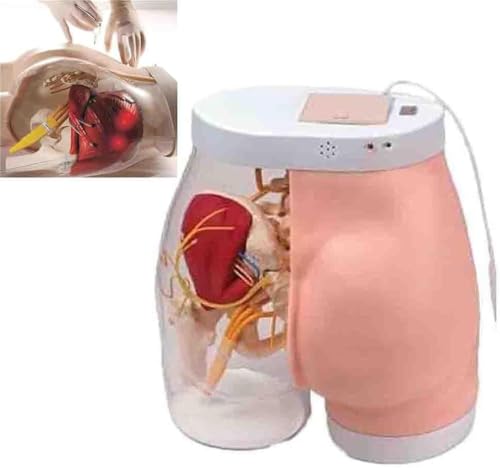 Modelo de práctica de inyección intramuscular glútea semi-transparente para entrenamiento miniatura 1