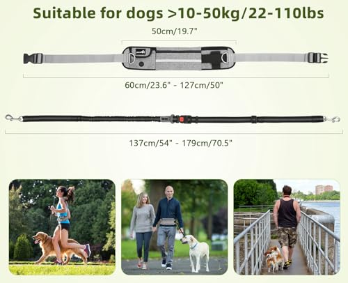 pecute Joggingleine Hunde mit Bauchgurt, Laufgürtel Hundeleine für Große und Mittelgroße Hundes, Leine Hund mit Gürteltasche, Elastische Laufleine, Dog Leash für Laufen, Joggen