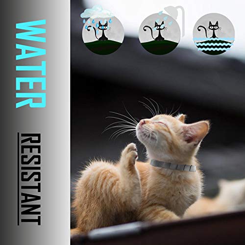 Flea And Tick Collar For Cat, Repels Fleas & Ticks, Natural Essential Oils, Allergy Prevention, 8 Months Protection, Adjustable & Waterproof (2 Packs) #TOP5