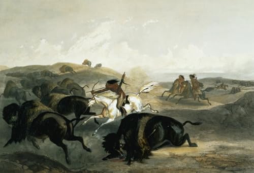 Cuadro en lienzo indianis a caccia di bisonti Karl Bodmer para cubrir paredes vacías 60x90