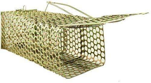 Ephemeral Rat, Rodent, Mouse Iron Trap/Catcher (Big Size, Gold & Multicolour)-picture-20