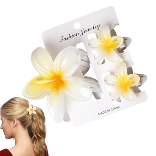 Knkoseia wApt[s,Ԍ^wANbv | ~ߕt3_wbhEFAZbg J[h{[ht E r[`TCh s {w~AtFXeBo f[g _X v