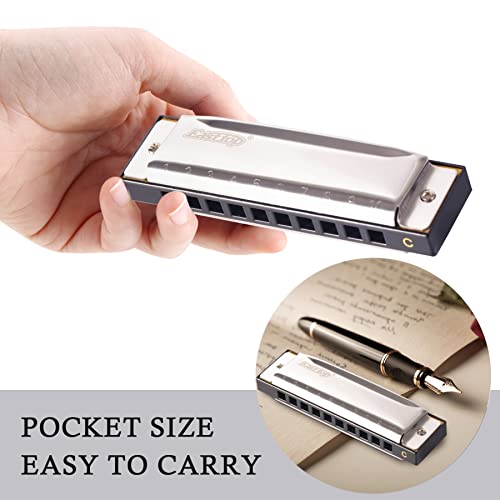 image for East top Harmonica 10 Holes Silver Blues Diatonic Harmonica Mouth Orga