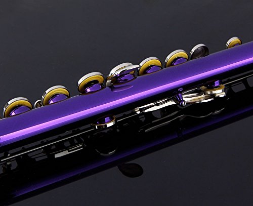 ふるーと Amazon.com: Glory Closed Hole C Flute With Case, Tuning Rod and