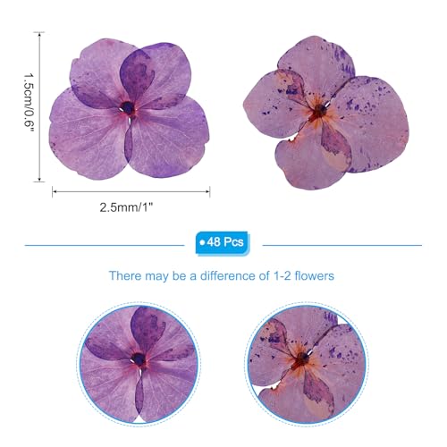 Flores Secas Prensadas 48 Pzas para Manualidades miniatura 2