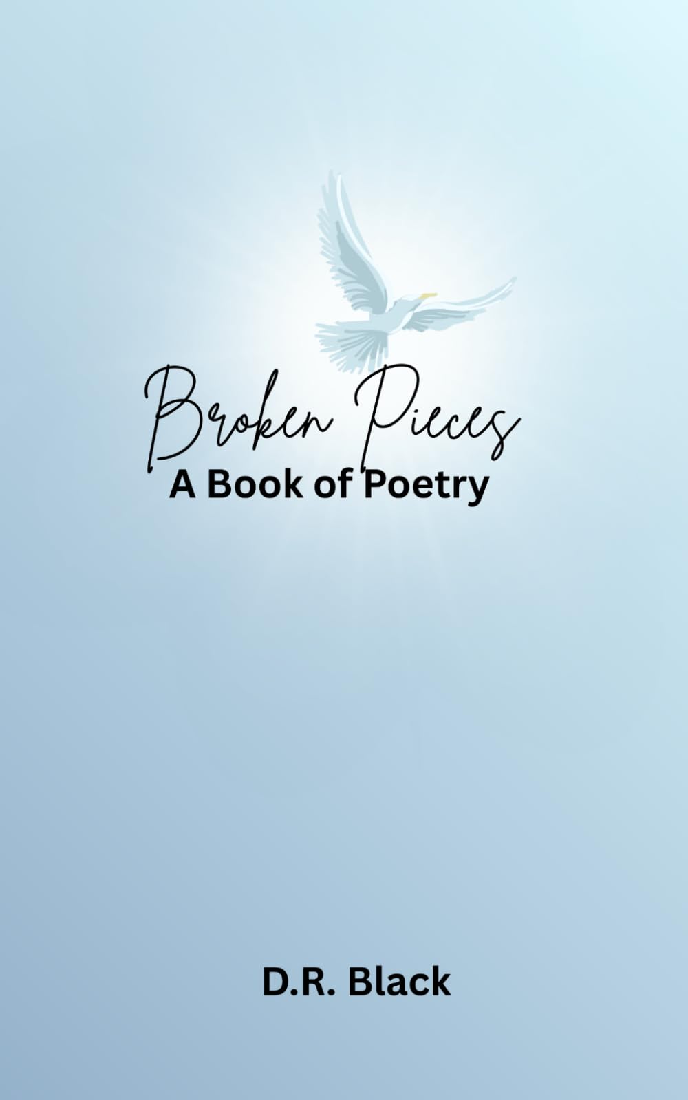 Broken Pieces: A Book of Poetry