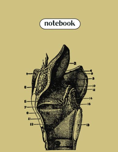 Notebook: Epiglottis College Ruled Notebook for Anatomy Students, nursing students, medical students 8.5