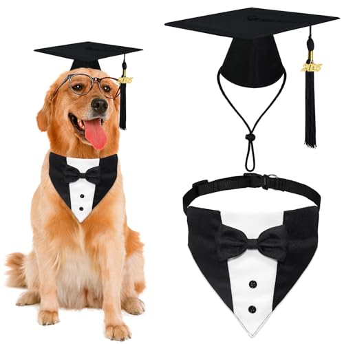 Disfraz para perro con gorra y collar de graduación