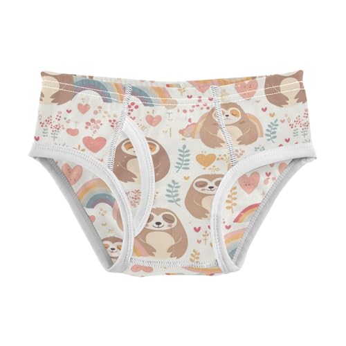 Wusikd Cute Sloth Hearts Boys' Underwear Cotton Rainbows Boys Briefs Soft Toddler Underwear 2T