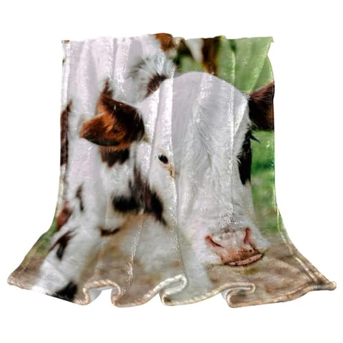 Couverture Polaire Vache Chaude et Douce Microfibre Jeté de Canapé