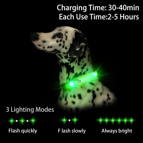 LaRoo LED Leuchtband für Hunde, USB Wiederaufladbar Leuchtanhänger Einfach an Halsband Leine und Geschirr zu Befestigen,3 Leuchtmodi Blinklicht für Hund (Grün)