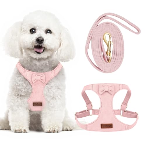 Tewiwap Hundegeschirr und Leine, kein Ziehen, verstellbares Welpengeschirr für XS, XXS, weiches...