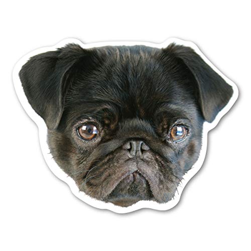 Magnet America (Black) Pug Dog Magnet is 4.75