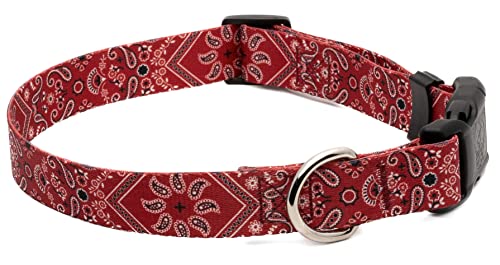 Country Brook Design CPB-RBN-S5.8 Country Brook Petz - Deluxe Red Bandana Dog Collar thumb #7