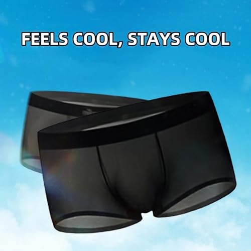 Niksy Underwear - Niksy Men's Ultra-Thin Ice Silk Transparent Boxer Briefs, Transparent Tease, Ultra-Thin & Breathable4
