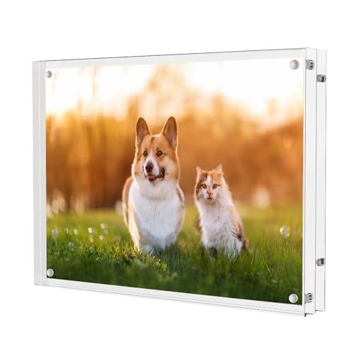 Aicharynic Cadre photo en acrylique - 15 x 20 cm - Magnétique et transparent - Sans cadre - Double face