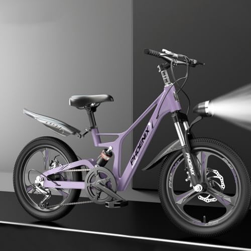 Amecke 子供用自転車 20インチ マグネシウム合金 6 〜 15 歳の男の子女の子 小学生中大子供 18 20 22 インチ 調節可能なシート 軽量 耐震性 耐荷重 正確な変速、感度ディスクブレーキ、滑り止め・耐摩耗性タイヤ、90%組み立てが簡単 (