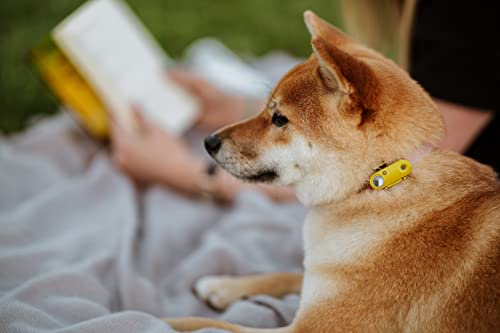 Tickless Mini Dog - chemikalienfreies, natürliches Floh- und Zeckenschutzmittel mit Ultraschall für Hunde - Ringelblume