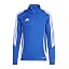 Team Royal Blue/White